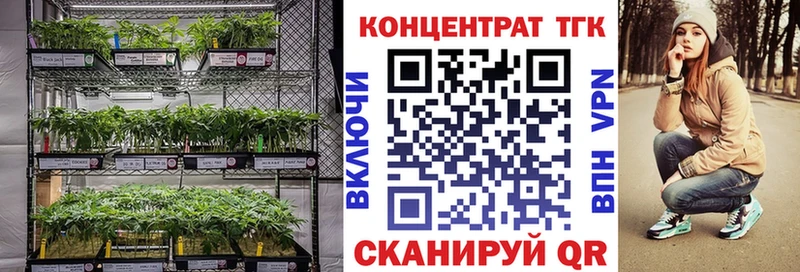 купить Белинский нарко площадка Telegram ТГК THC oil