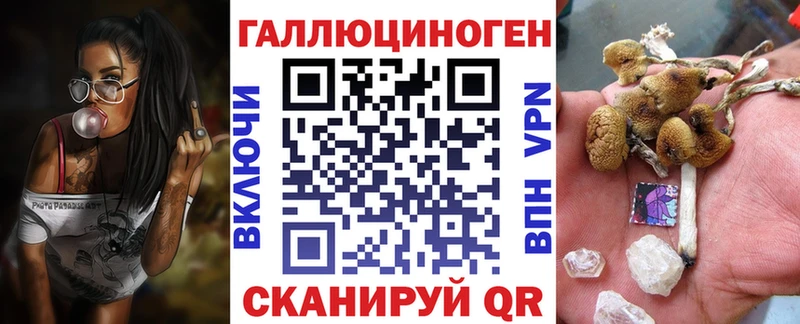 Псилоцибиновые грибы Psilocybine cubensis  магазин продажи наркотиков  Белинский 